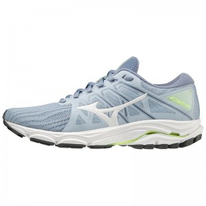 Buty do Biegania Damskie Mizuno Wave Equate 6 Niebieskie | Polska M4165MS