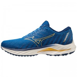 Buty do Biegania Męskie Mizuno Wave Inspire 19 Niebieskie Niebieskie | Polska M4015RA