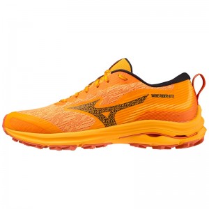 Buty do Biegania Męskie Mizuno Wave Rider GTX Czarne | Polska M8906MI