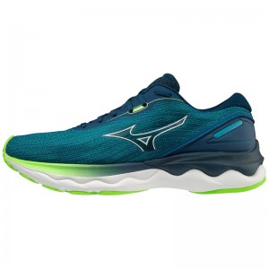 Buty do Biegania Męskie Mizuno Wave Skyrise 3 Niebieskie | Polska M2756LY