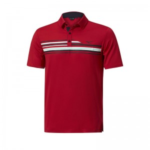 Polo Męskie Mizuno QD Elite Stripe Czerwone | Polska M7346LD