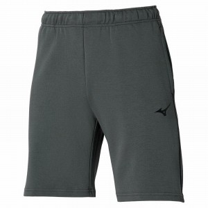 Spodenki Damskie Mizuno Sergio Ramos Sweat Szare | Polska M8143DC