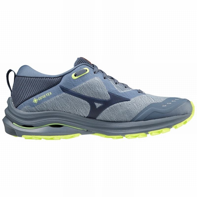 Buty do Biegania Damskie Mizuno Wave Rider GTX Niebieskie | Polska M9607QW