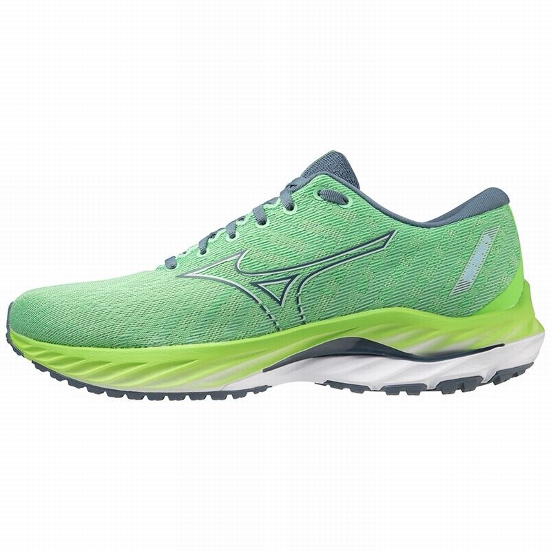 Buty do Biegania Męskie Mizuno Wave Inspire 19 Niebieskie Zielone | Polska M7043OB