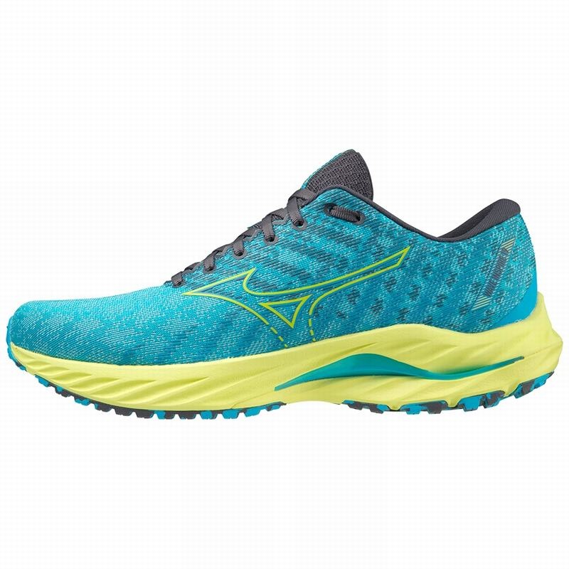 Buty do Biegania Męskie Mizuno Wave Inspire 19 Niebieskie | Polska M7132OP