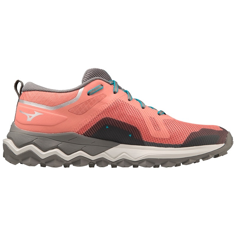 Buty do Biegania w Terenie Damskie Mizuno Wave Ibuki 4 GTX Niebieskie | Polska M6179WD