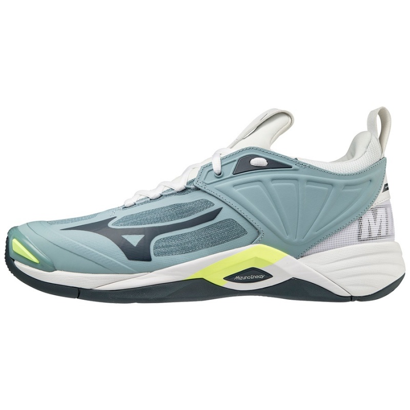 Buty do Siatkówki Męskie Mizuno Wave Momentum 2 Niebieskie Białe | Polska M7608AM