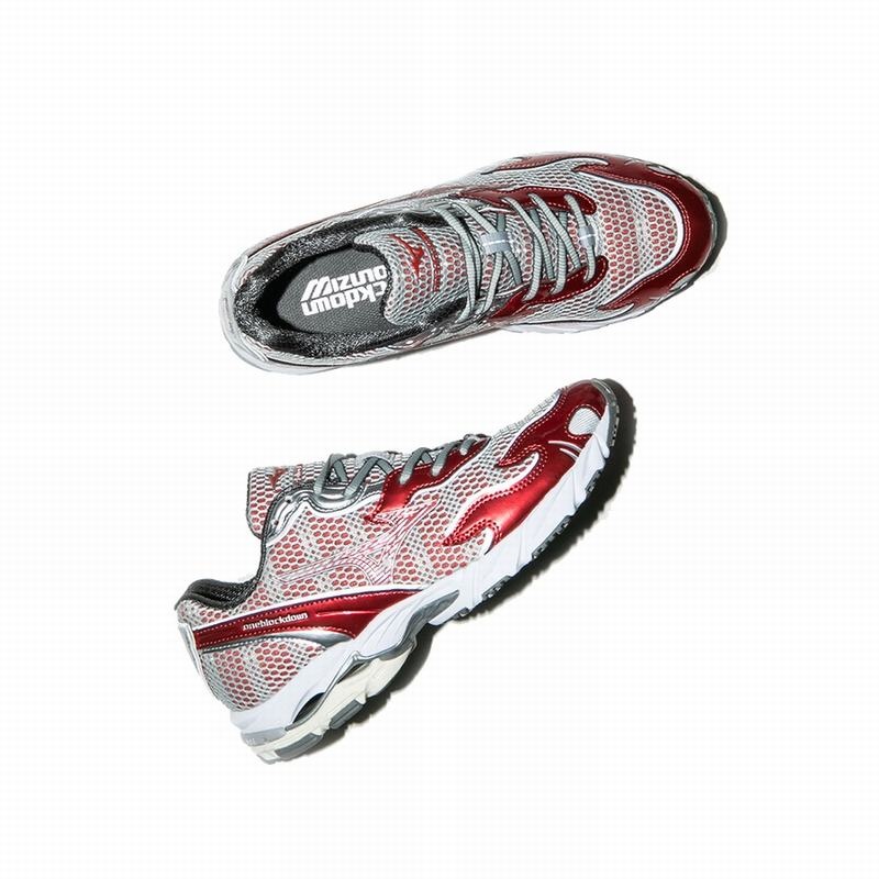 Trampki Damskie Mizuno Wave Rider 10 